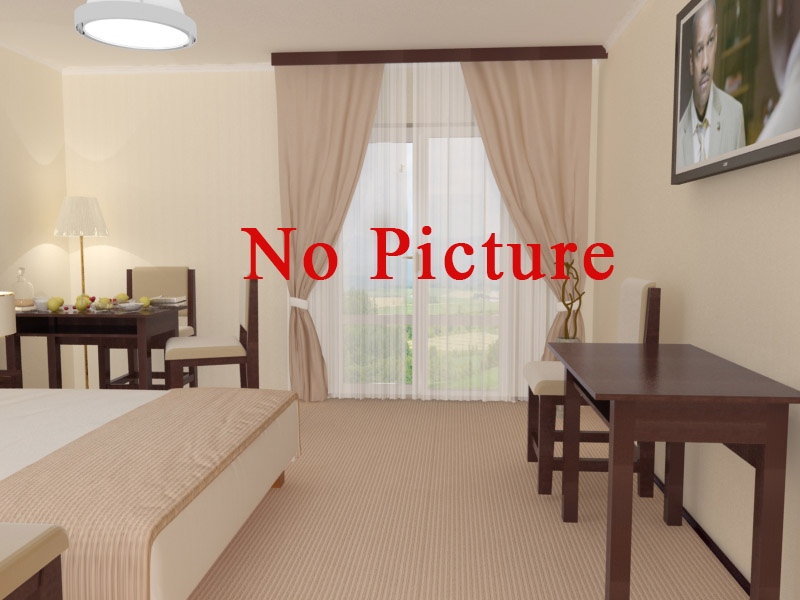 Двухместный номер с 1 кроватью в Гостинице Гостевой Дом на Самбурова